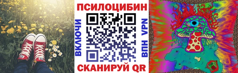 Псилоцибиновые грибы прущие грибы  Купить где  Судак 